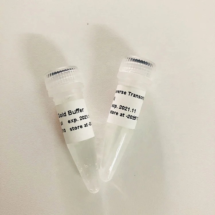 Золотая реверсивная транскриптаза, Термостабильная, R3001 2000U