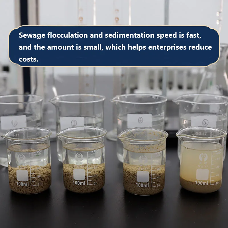 WELLDONE Flocculant-Polyacrylamide Polyelectrolyte In Water Treatment China Cationic Polyacrylamide Cpam