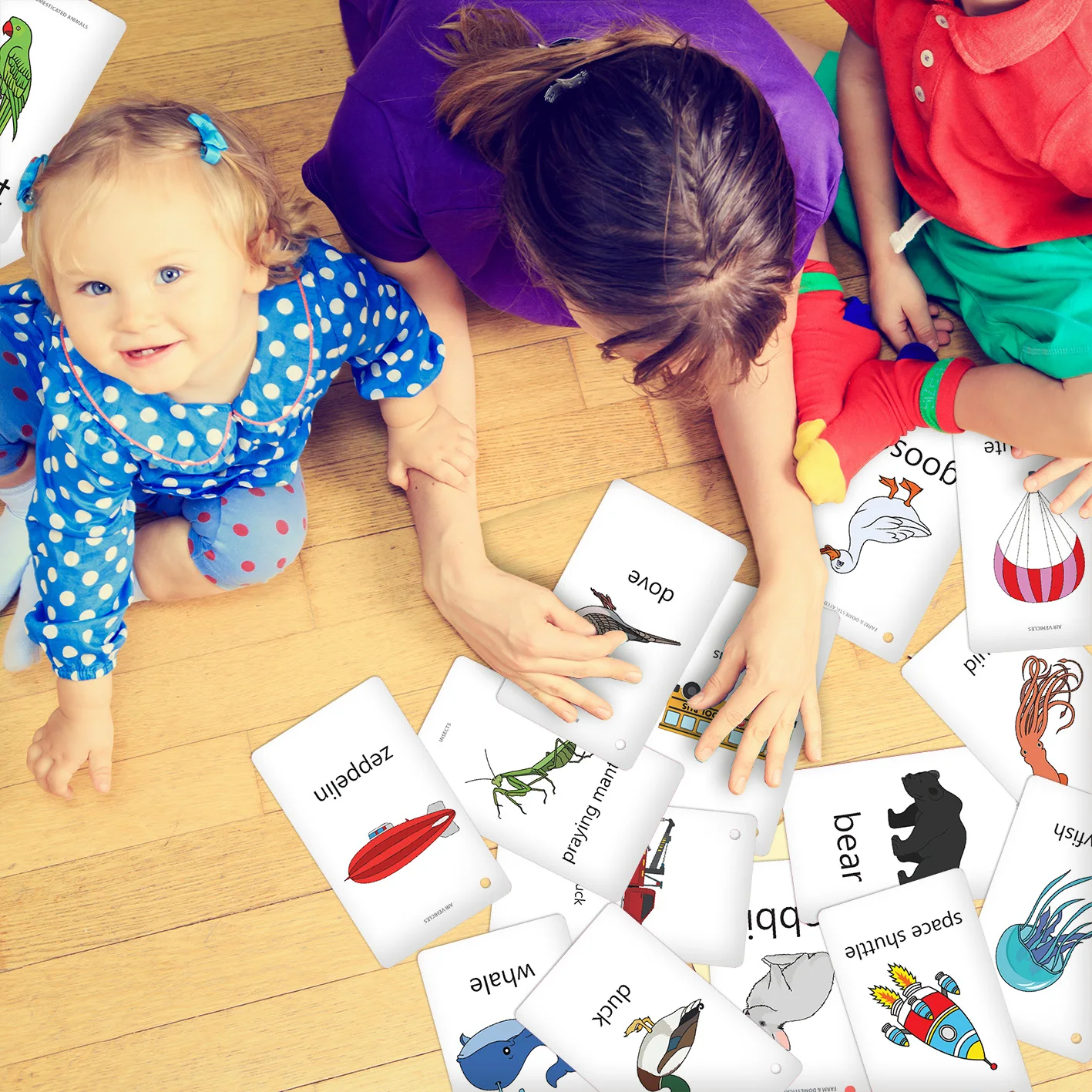 Set memory Flash Cards for Toddlers VEHICLES ANIMALS INSECTS