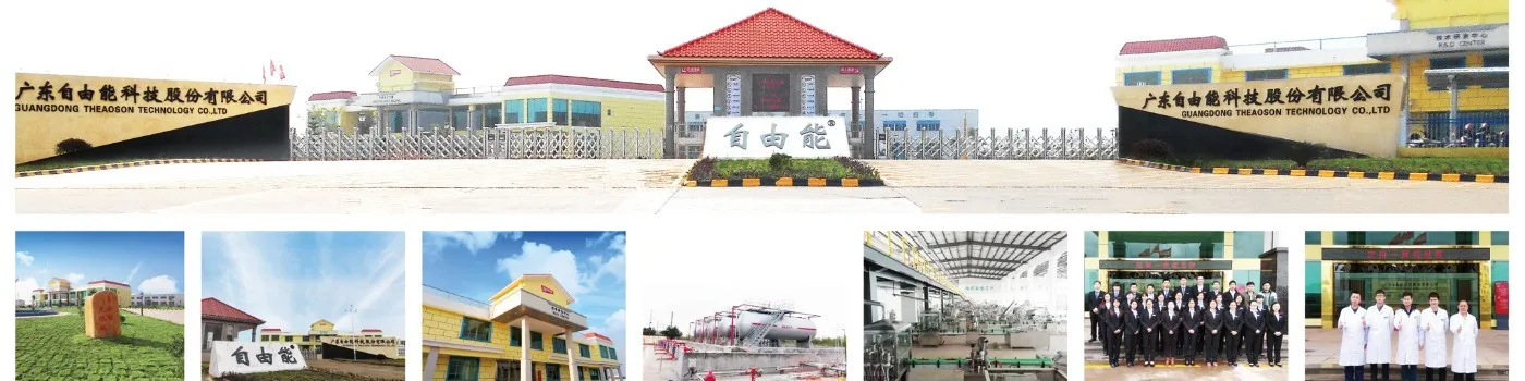 Theaoson Good quality and fast delivery Powerful Pitch Detergent Aerosol Paint