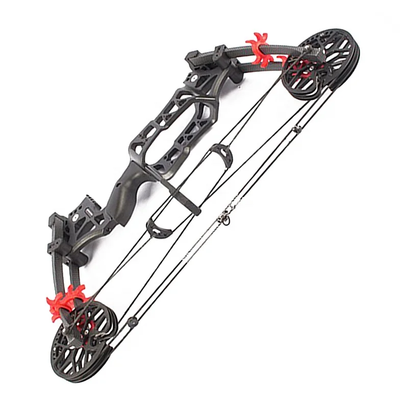 Steel ball bow dual purpose compound pulley bow and arrow outdoor entertainment bow and arrow