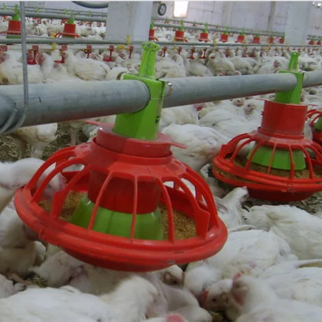 XGZ куриный домик птицеферма дизайнерская стальная конструкция куриная Ферма для