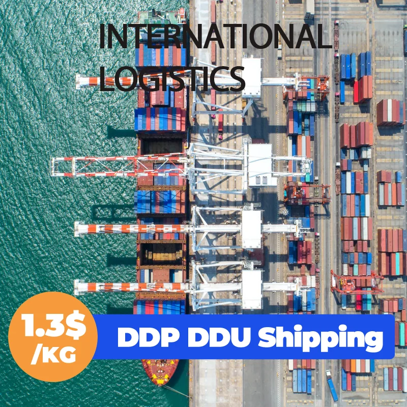 Door To Door Sea Shipping Freight Forwarder From China To The Whole World Usa Canada Australia Europe
