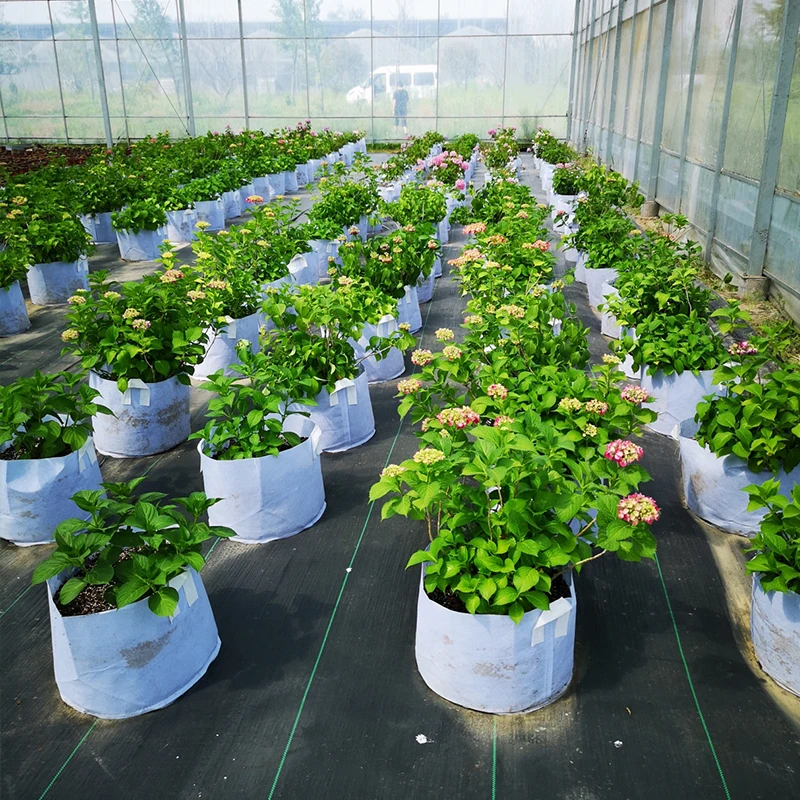 Free Samples  1 3 5 7 10 15 25 30 50 75 100 Gallon Felt Degradable Grow Bags with Handles