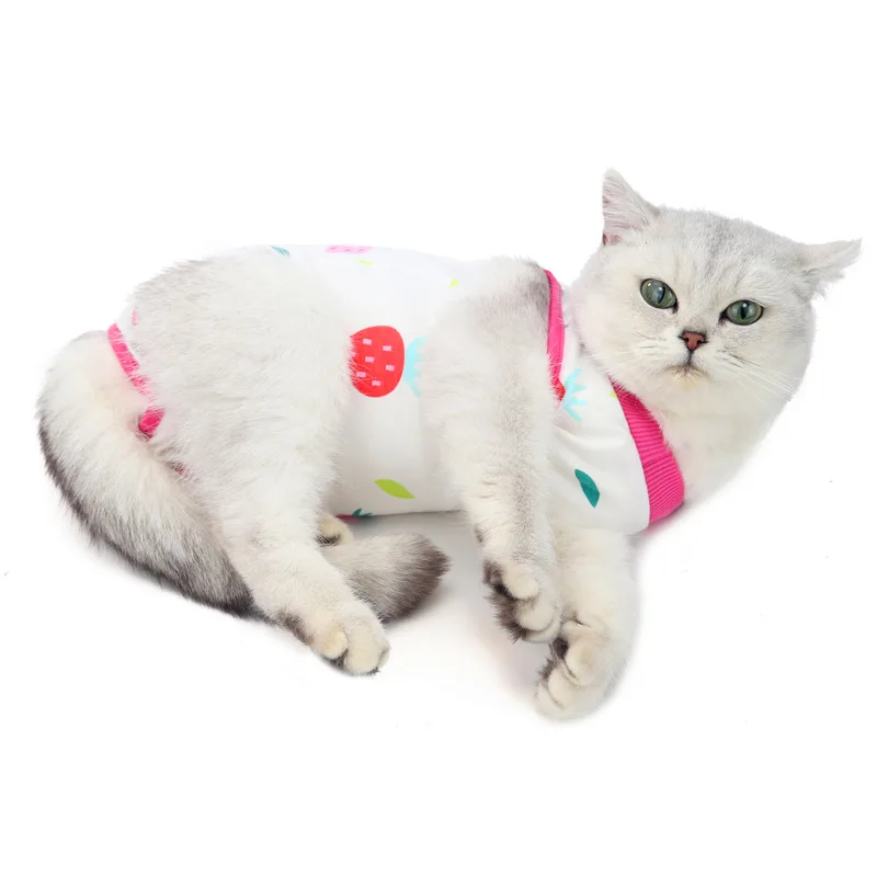 cat recovery suit (24).jpg