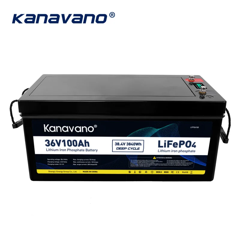 Factory Sell Lifepo4 100Ah 200Ah 300Ah Li lithium ion battery 12V 24V 36V solar lifepo4 battery pack For Solar Storage