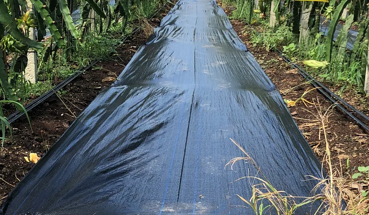 weeding cloth weed fabric control agricultural pp anti grass cloth anti weed mat with uv protection