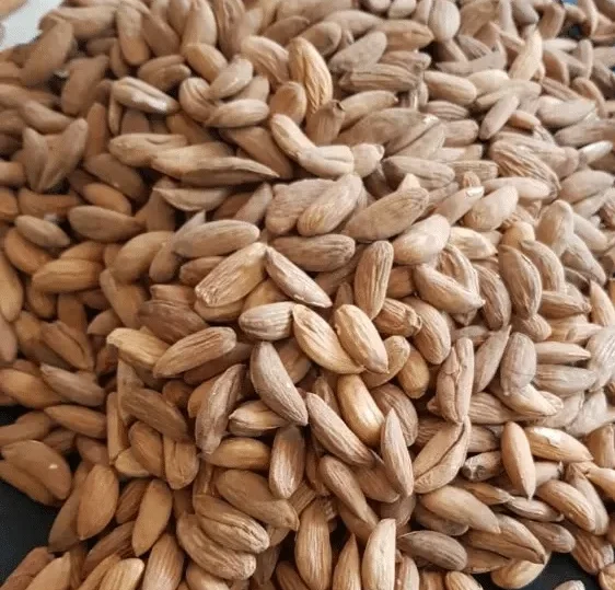 Gurbandi Almonds Choti Badam Giri Sweet Almonds Dry Fruit Wholesale Price Best Quality Fresh High Grade Pure Delicious Crunchy