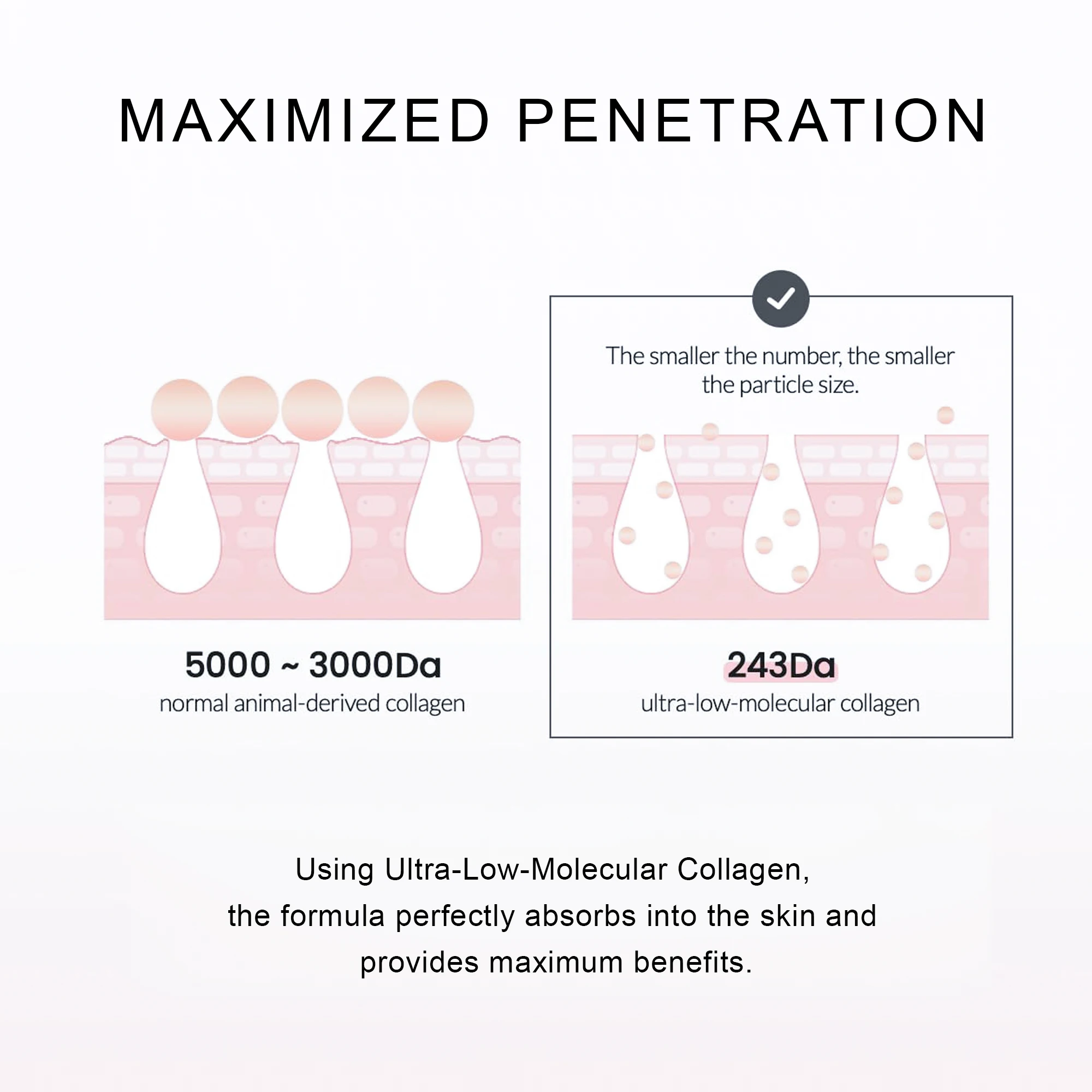 Private Label Face Serum Pore Minimizing Anti-Aging Pore Tightening Collagen Ampoule Skin Care Serum For Face