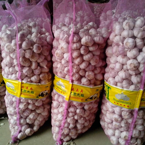 Fresh Vegetable Selected Quality Chinese Fresh Garlic New Garlic