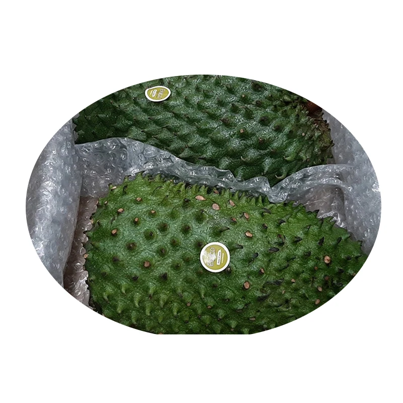 100% Natural High Grade Healthy Exotic Juicy Fruit  Fresh Soursop Fresh Fruit