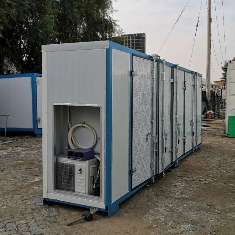 2023 Newest Customized Hydroponic Machine To Germinate Seed