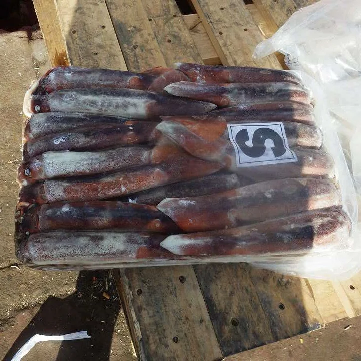 The best price Whole indonesian frozen squid