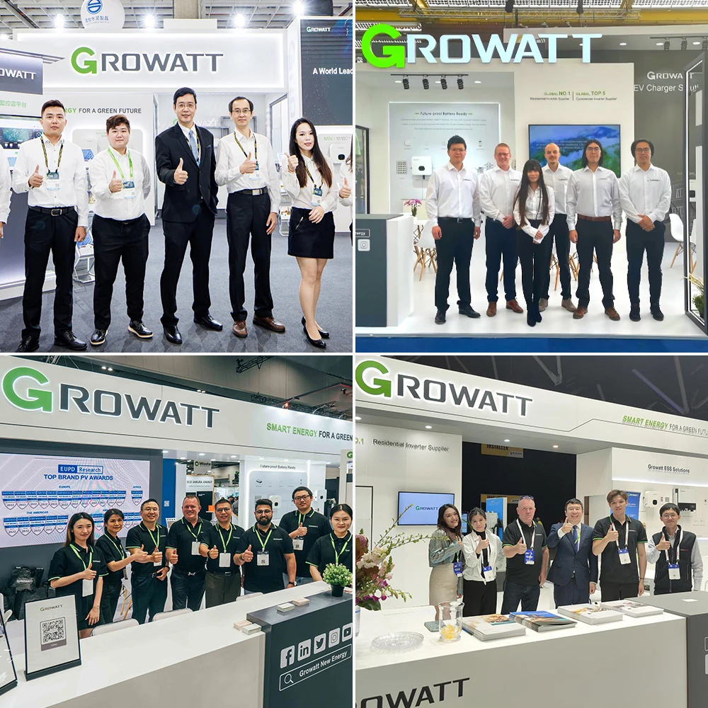 Growatt Industry Three Phase Pv On Grid Inverter 50Kw 100Kw 125Kw 250Kw Grade A Pure Sine Wave Solar Inverters