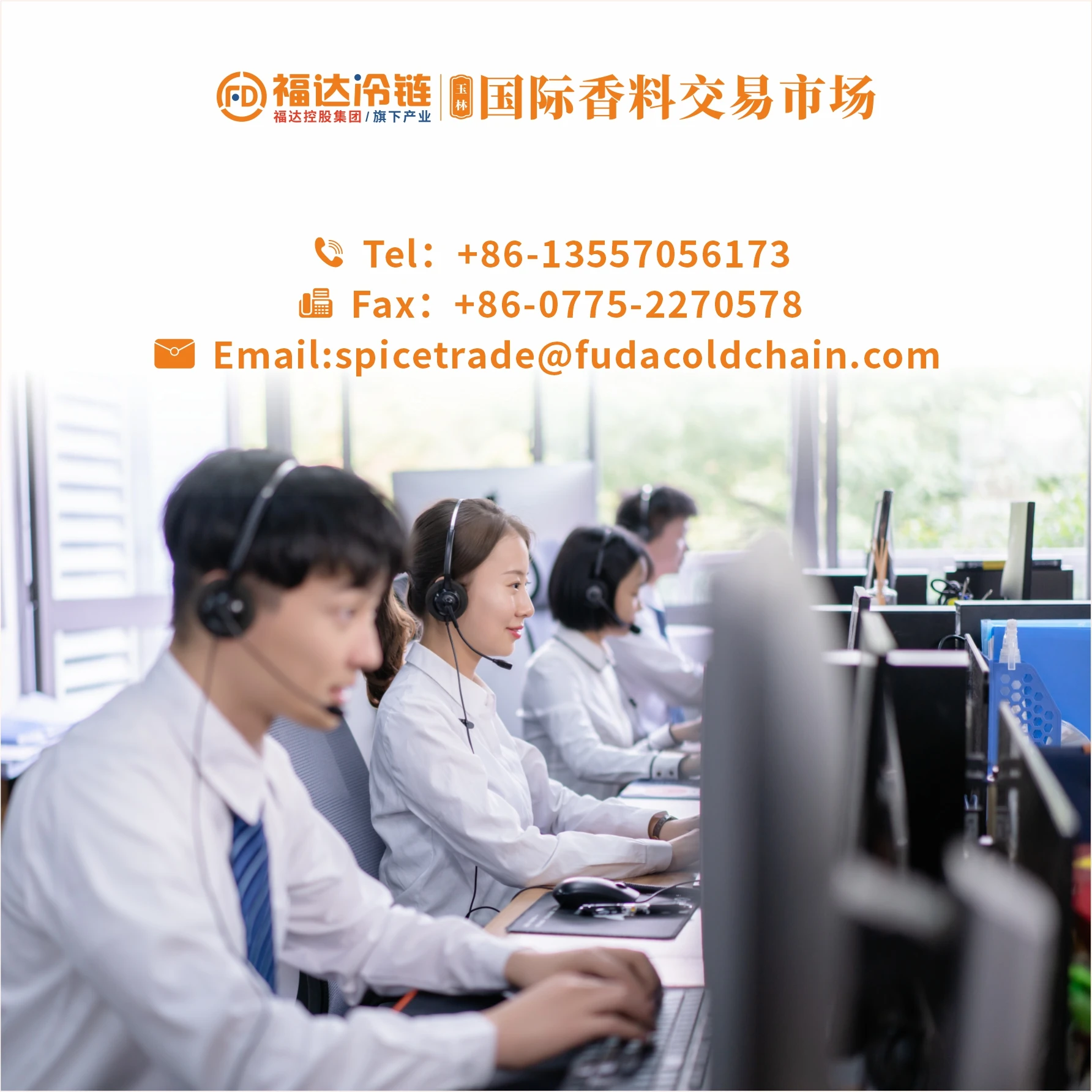 Wholesale High quality Vietnamese star anise spice and spice food ingredients at good prices