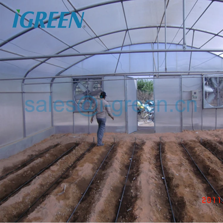 Single tunnel straight wall polycarbonate sheet vegetable greenhouse from China for tractor to go through