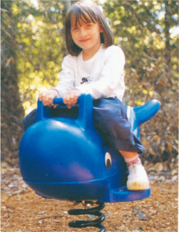 Newest Design Factory Supply  High Quality Attractive Price New Type Toy Rocking Horse