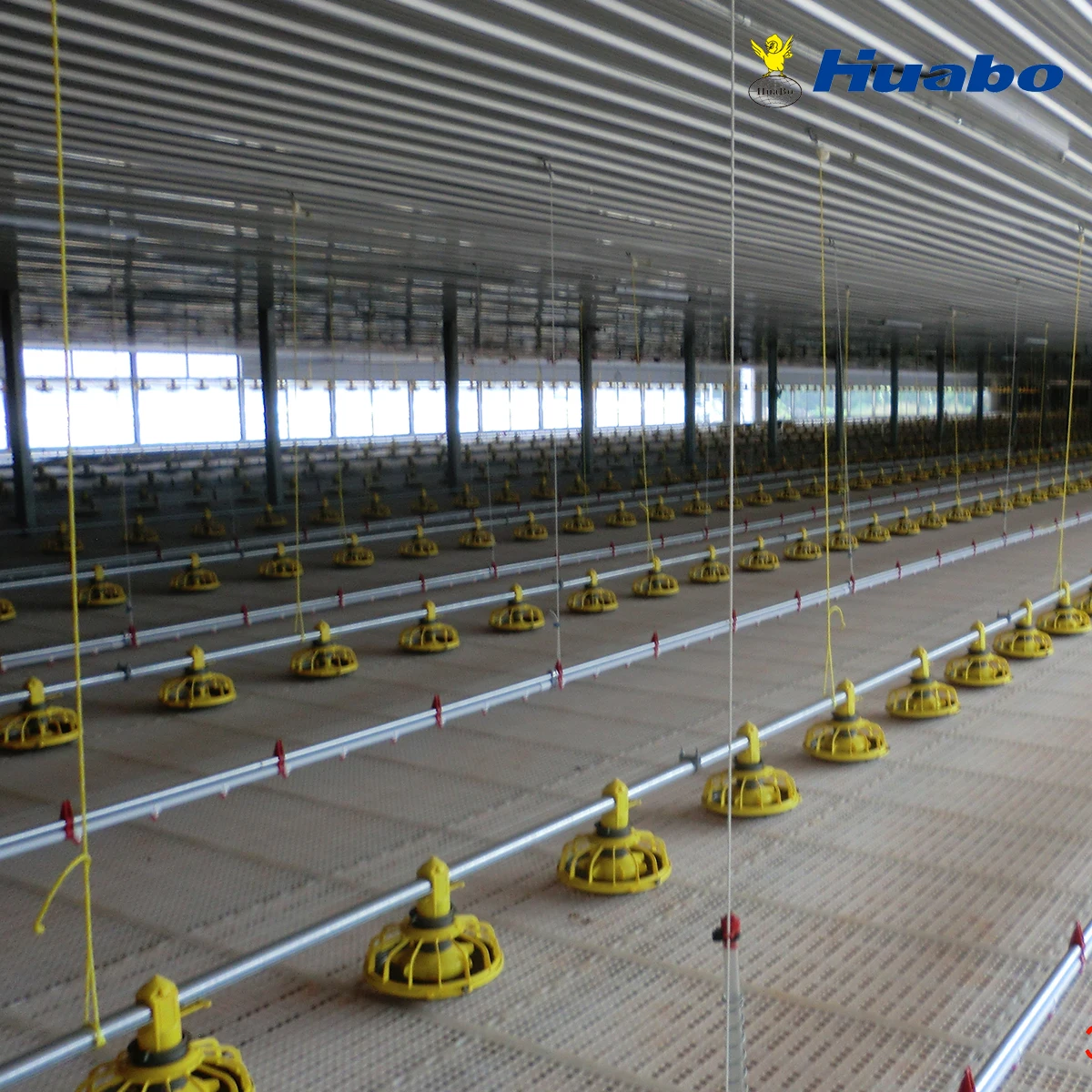 Автоматическое оборудование для хранения птицы