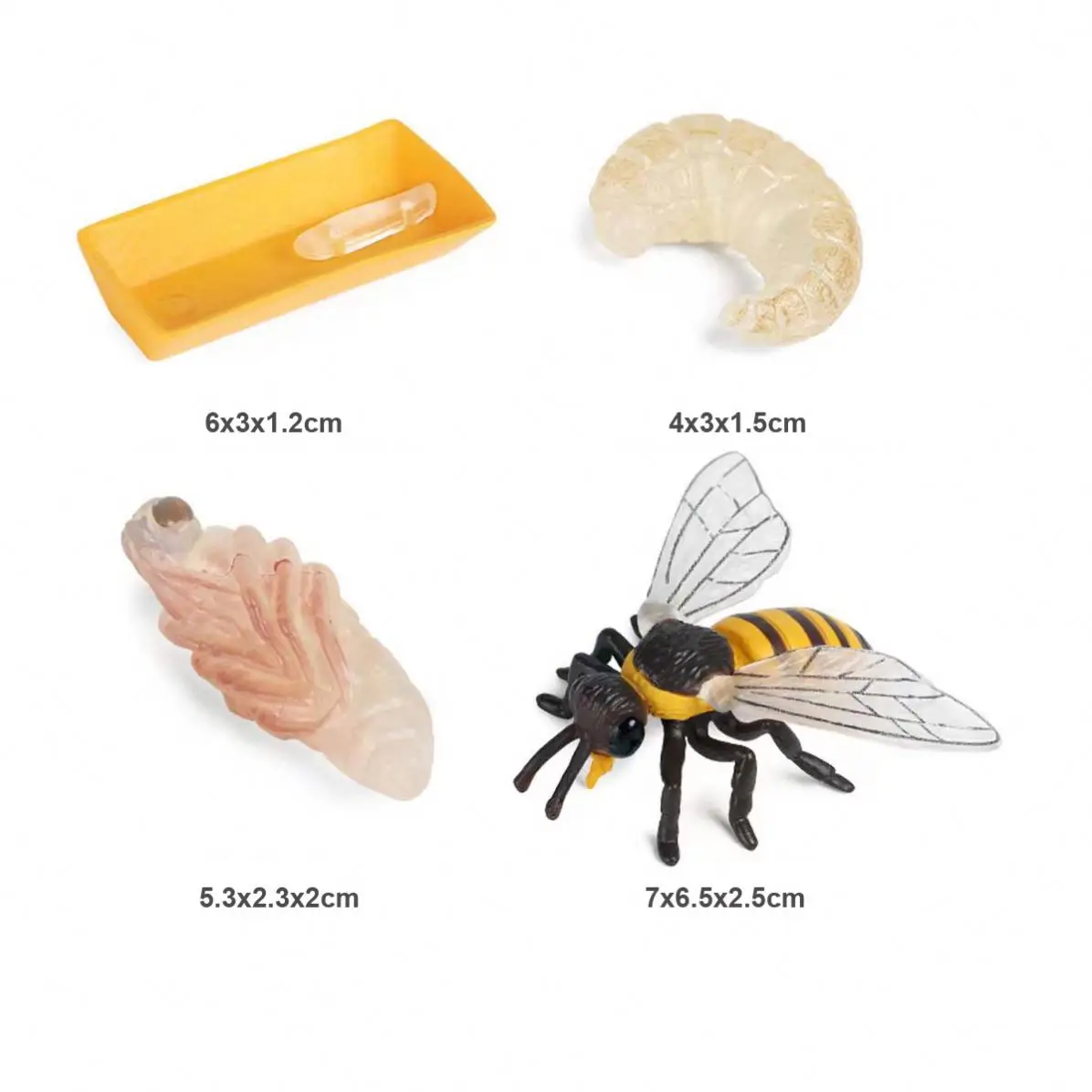 montessori life cycle toy lifelike insect animal figurines education life cycle figurines toy
