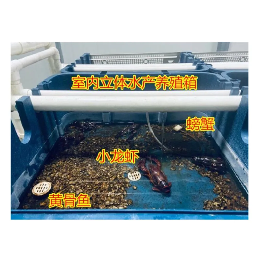 Future Aquaculture Indoor Farming Crab Box RAS System Large Size Crab House Crab Fattening