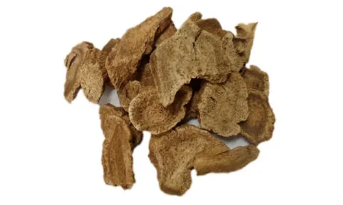 Costus root oil 100% pure natural Costus root oil