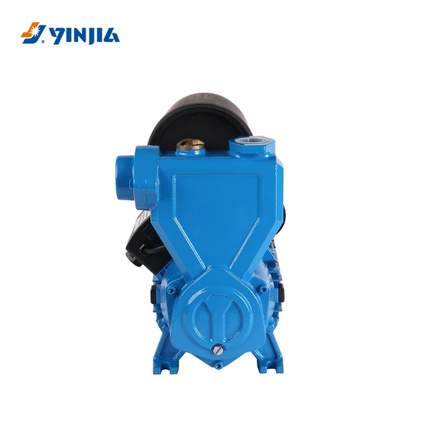Smart Self-Priming Automatic Pump with AC Motor Cast Iron Watering Type Pressure Tank