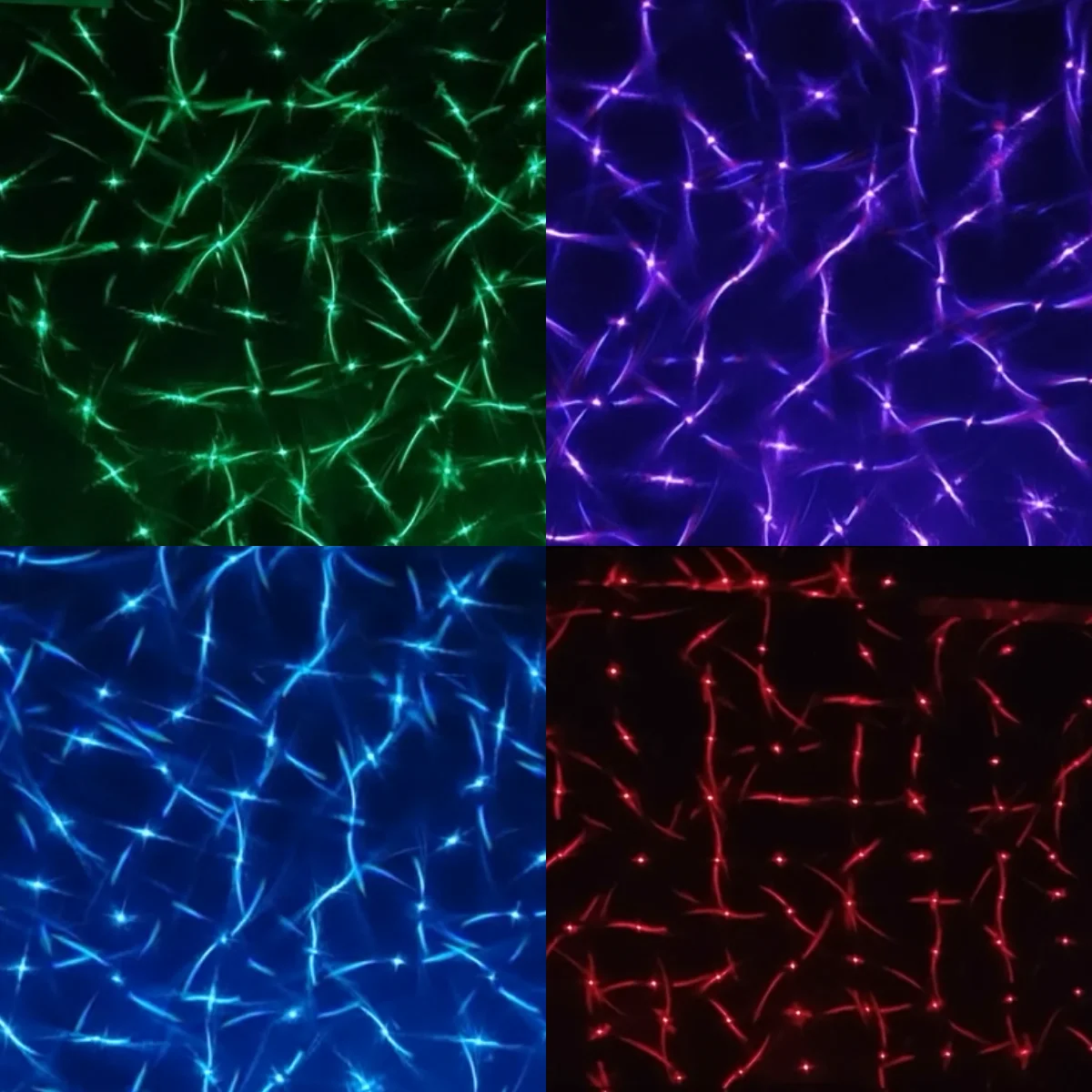 RGB 2W Laser light DMX Control Decorative lights Stage Concert Performance Christmas
