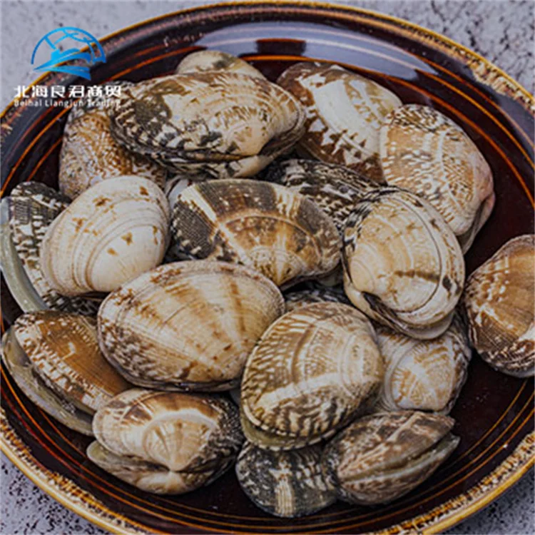 Hot selling high-quality frozen shellfish clams delicious seafood fresh frozen boiled clam meat