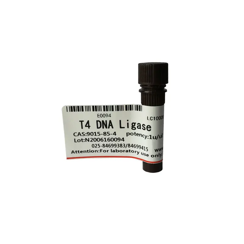 Поставка высококачественного реагента для исследований T4 DNA Ligase BR 1u CAS