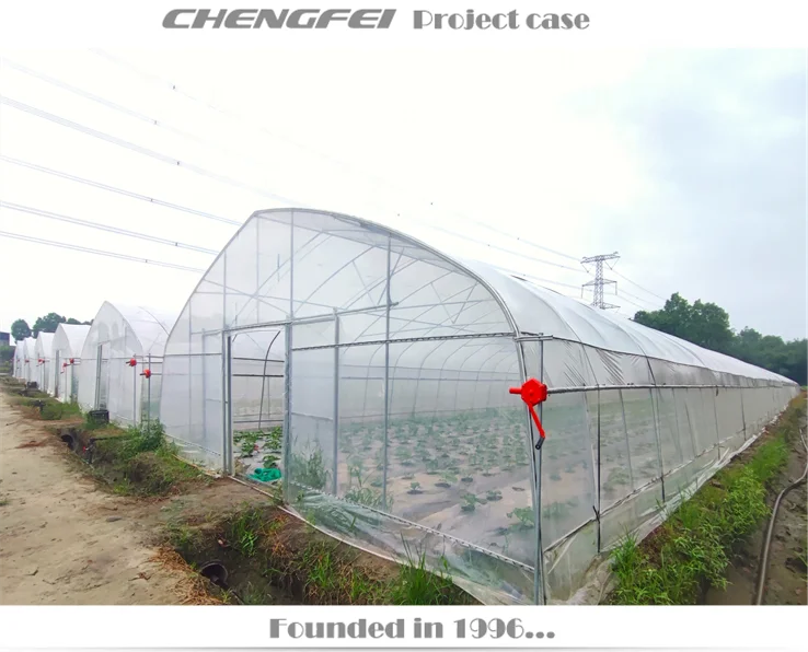 Commercial single span plastic film vegetable tomato strawberry flower price tunnel greenhouse for sale