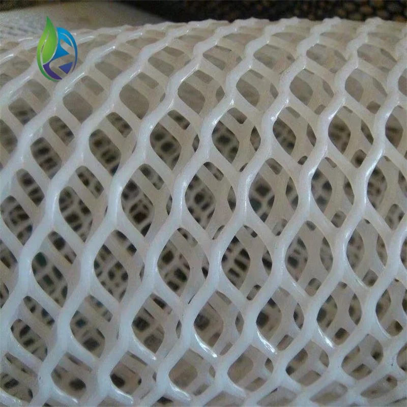 Plastic Geonet Hard Plastic Flat Mesh Net Plain Mesh Netting HDPE for Poultry Farming