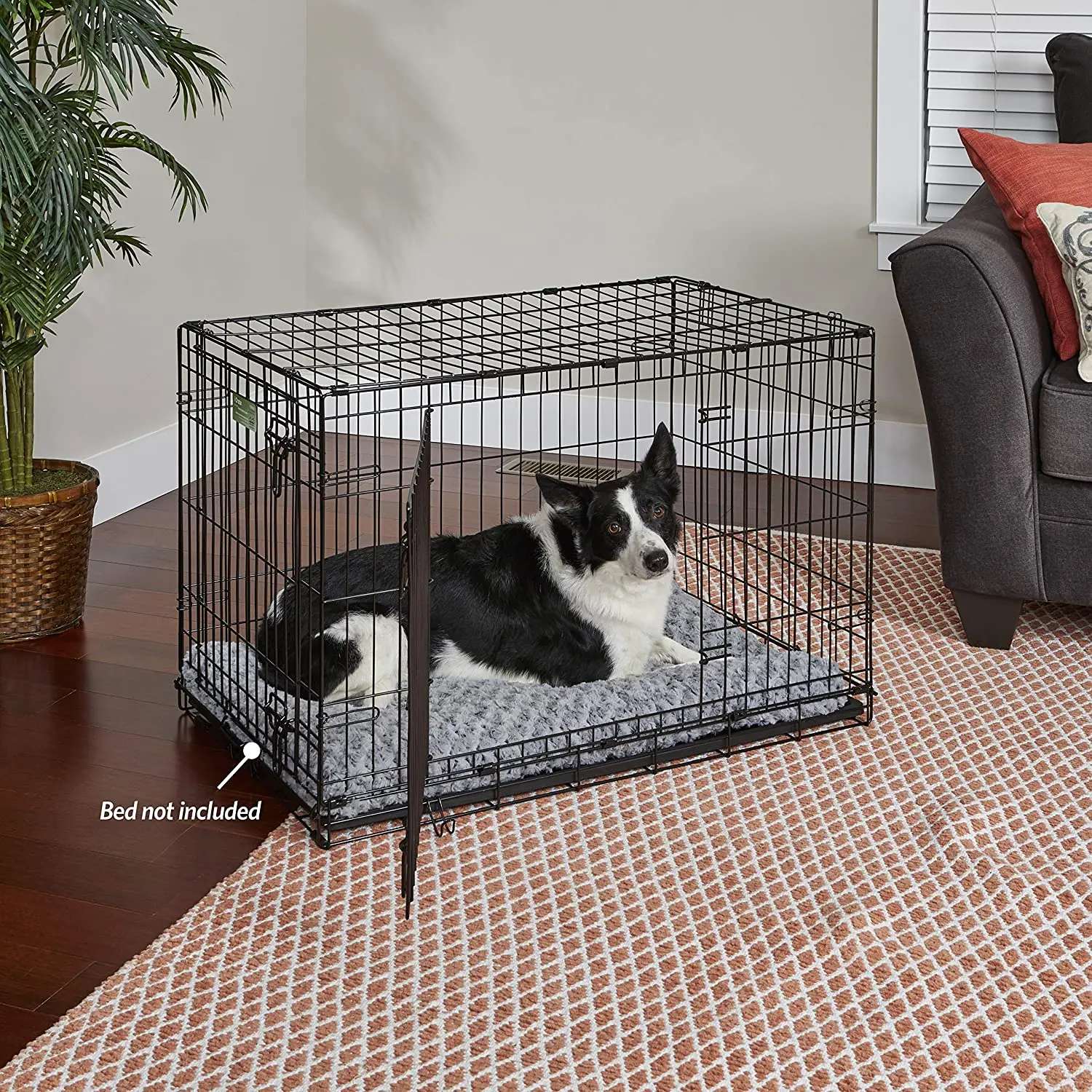 Wholesale Pet Cages Durable Outdoor Indoor Black Metal Large Iron XXL Dog Crate 107cm in Living Room with Divider
