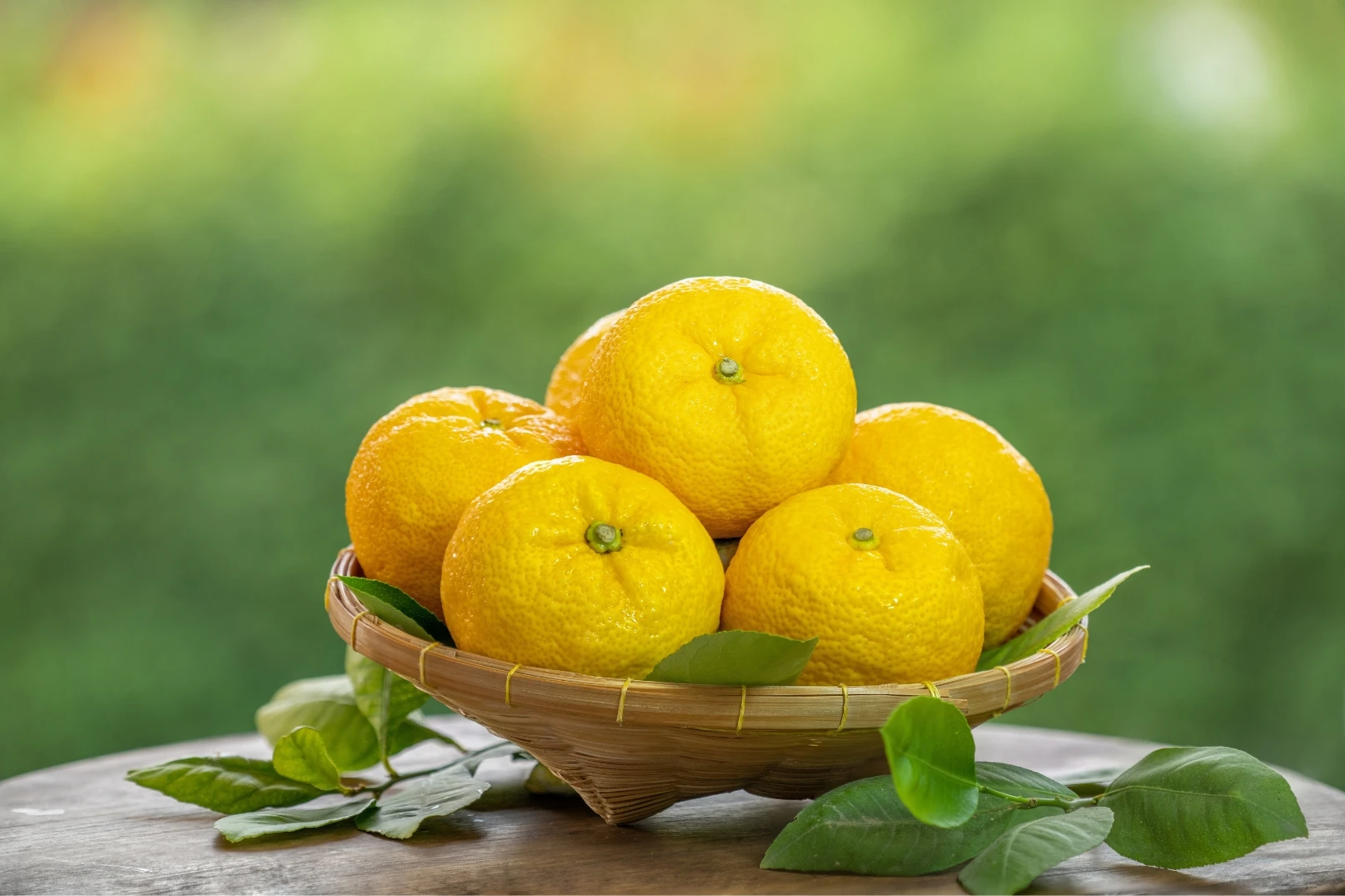 Traditional healthy products salty soft grain snacks sweet Japanese food wagashi mochi