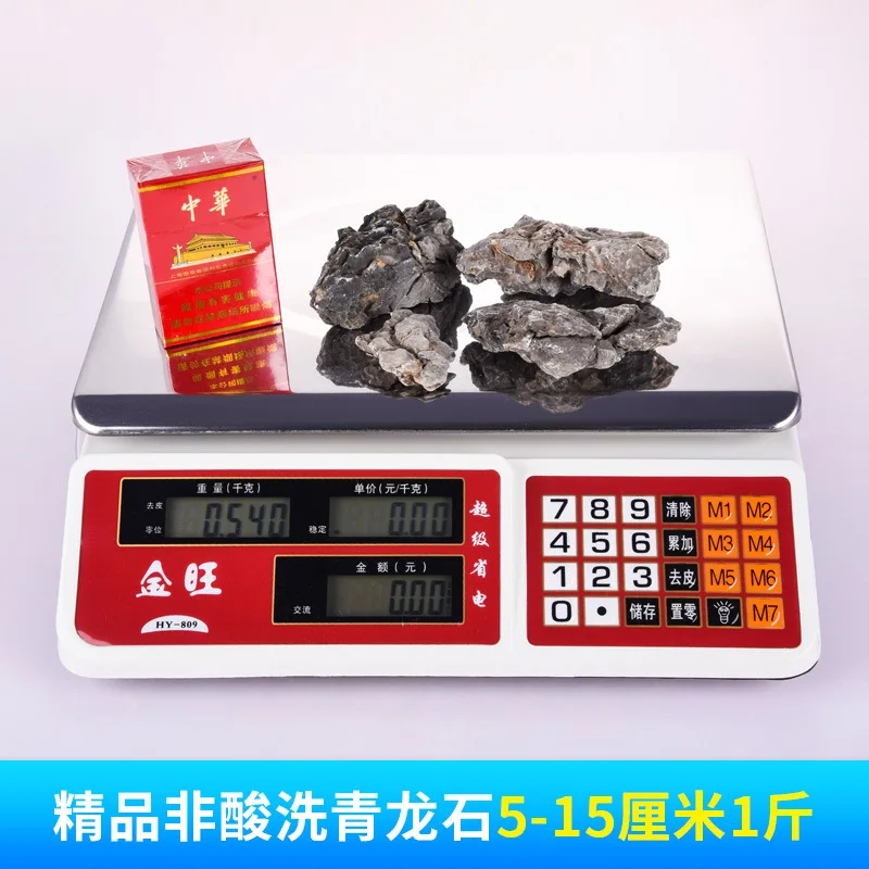 shiqu natural pickling green dragon  grass tank aquarium landscape Yingde stone rockery w