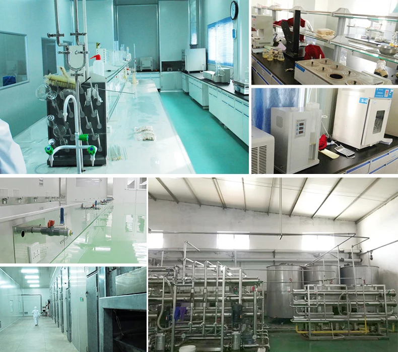 High Quality Hydrolyzed Bovine Collagen Powder