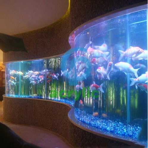 salt water aquarium fish tank full set