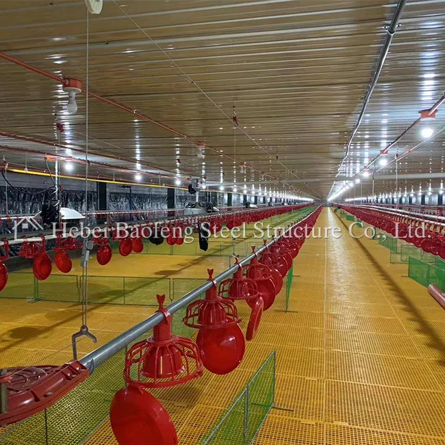 Commercial Prefabricated Steel Structure Poultry Chicken House Made in China