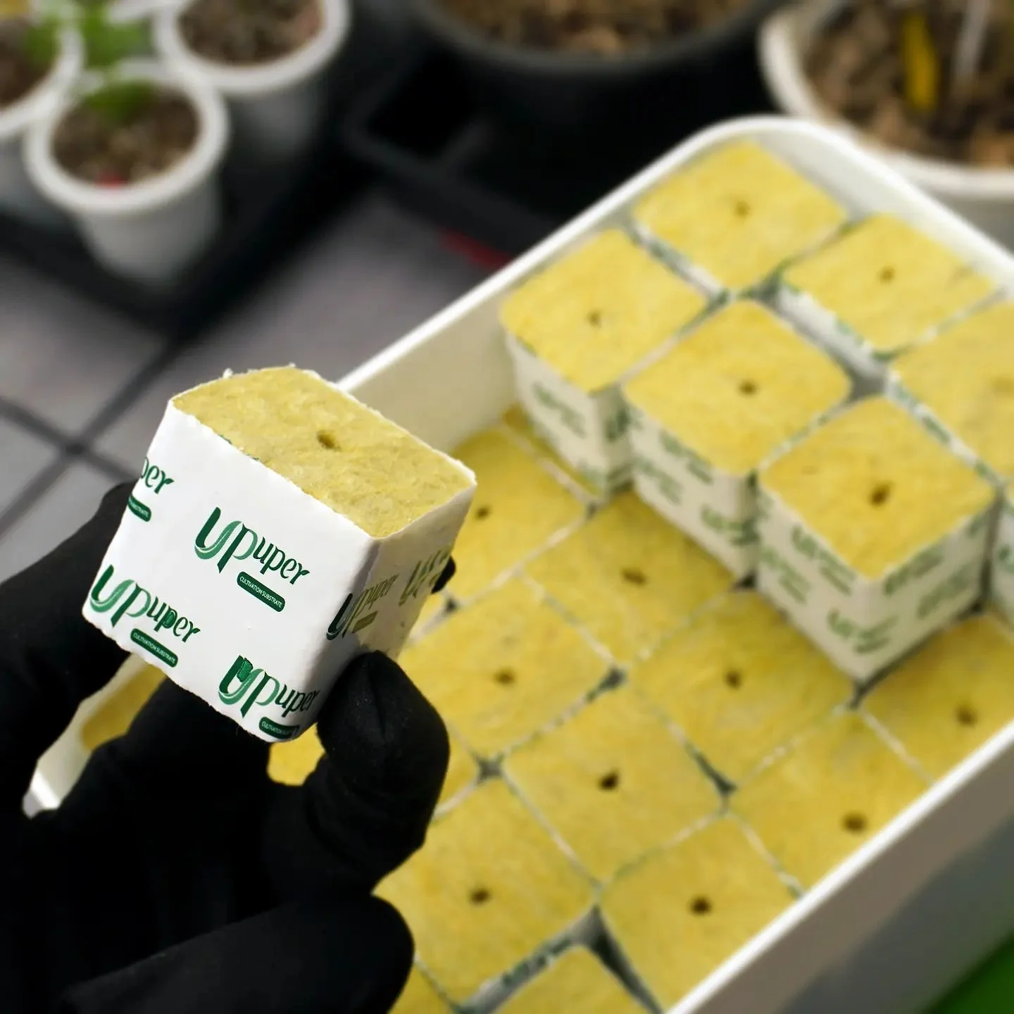 UPuper manufacturer hydroponic substrate medium indoor plants rooting clone growing cubes 2 rock wool plug