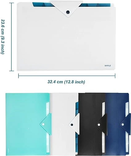 Pocket Expanding File Folder A4 Letter Size Plastic File Folders Accordion Document Organizer for School