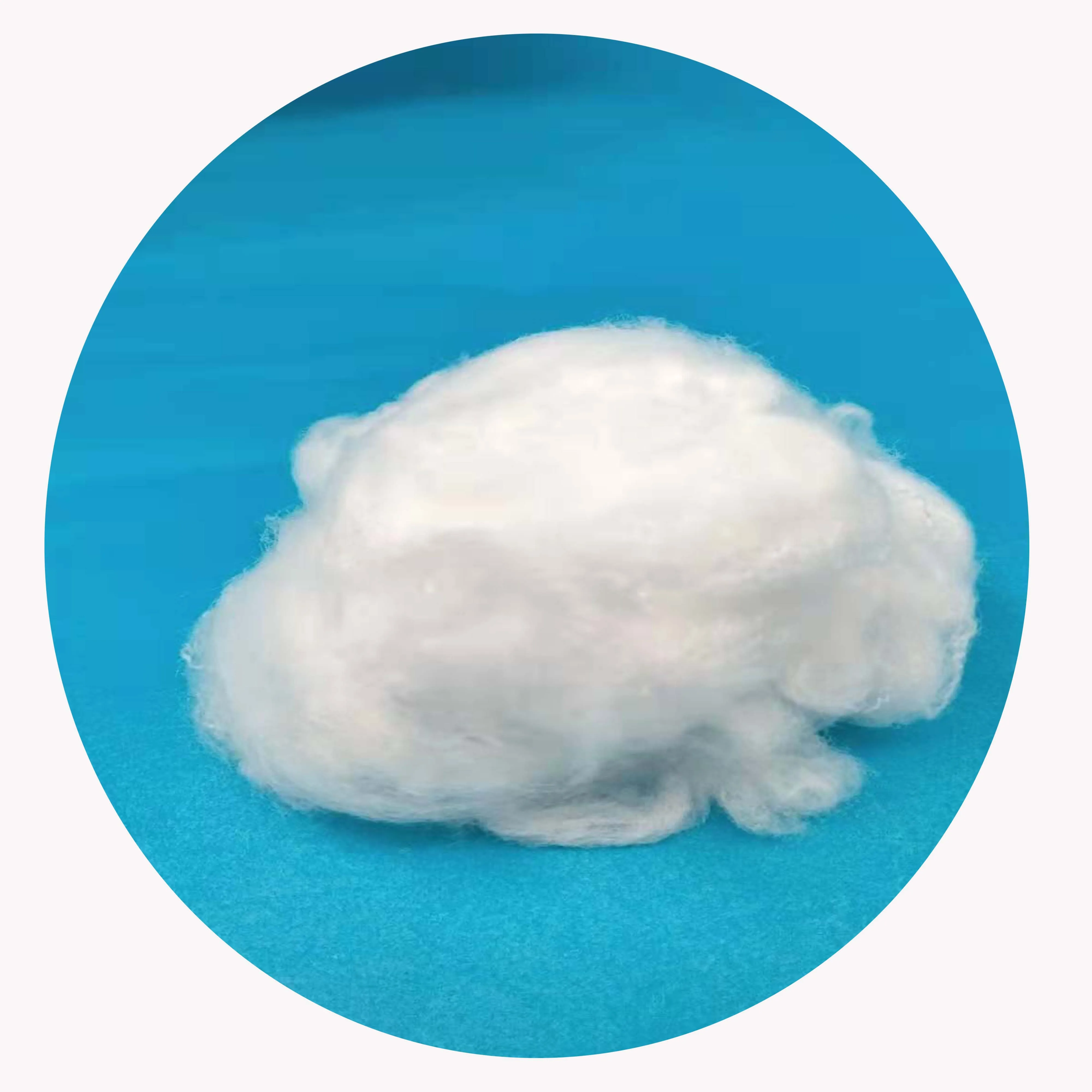 Sustainable Semi Dull Raw Nylon6 Staple fiber for