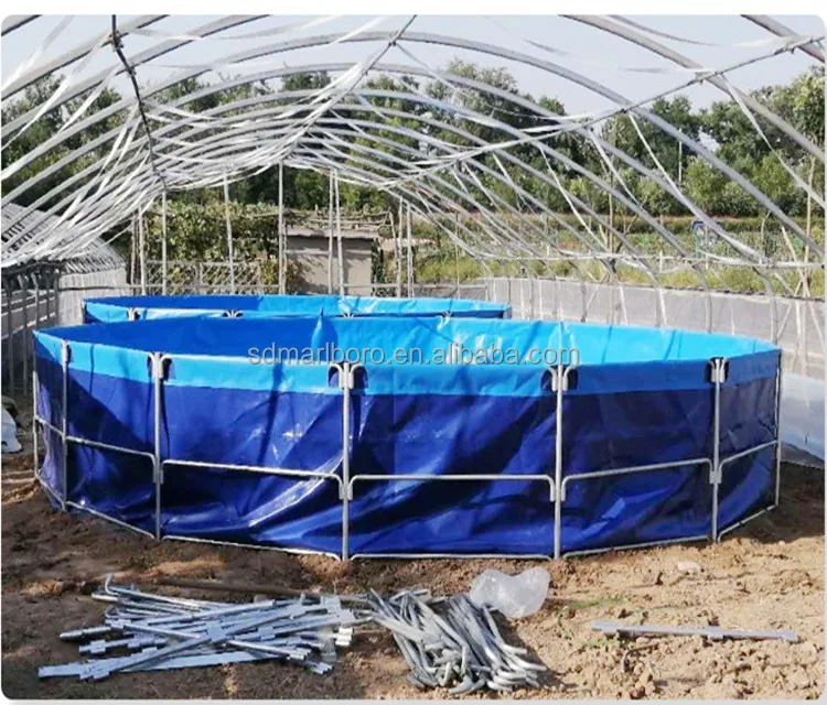 Профессиональный резервуар SDM для рыбного хозяйства, система рециркуляции аквакультуры