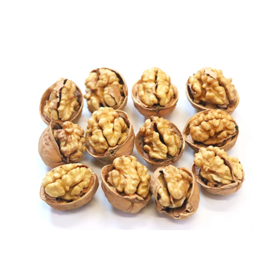 
 High quality crop walnuts in-shell different types organic walnuts with shell  