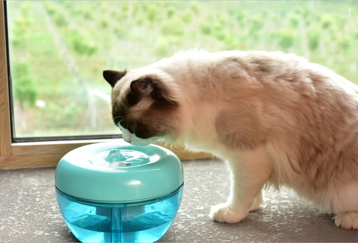 
Pawoof cat water fountain with an upgraded filter hot selling Pawoof cat drinking water fountain 