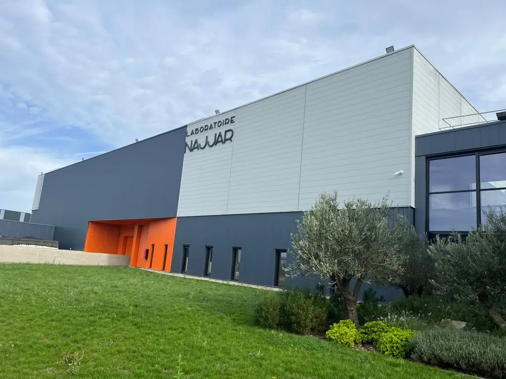 Najel High Quality Smoothing Exfoliating Black Aleppo Soap with Eucalyptus, Home-SPA for All Skin Types