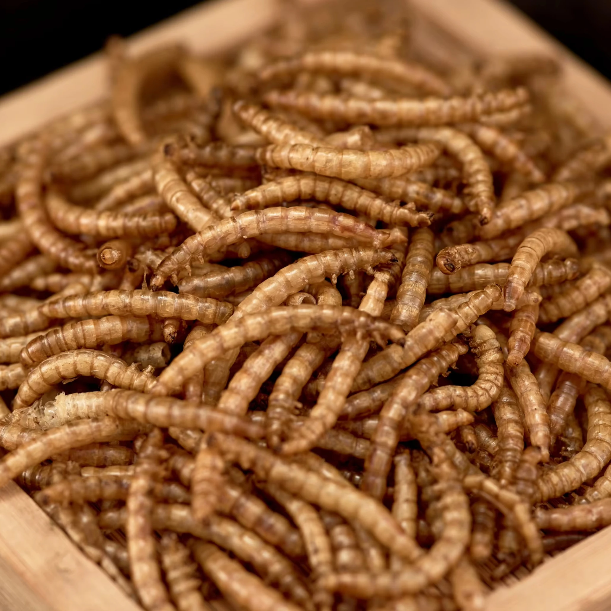 Прямая Продажа с завода сухие мучные черви натуральный корм для домашних животных оптом птиц