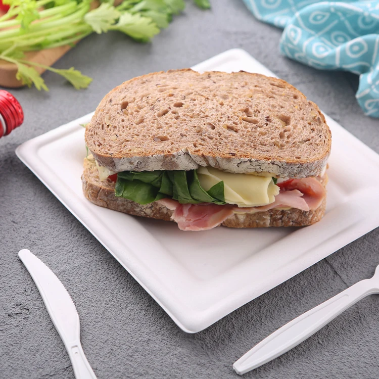 High elasticity High Grade Fruit Fruit Dinner  Biodegradable Fruit Plate