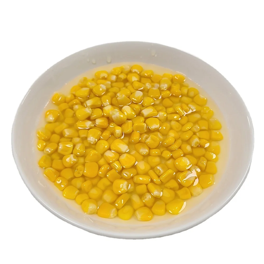 Canned Corn Supplier Canned Sweet Corn for Salad