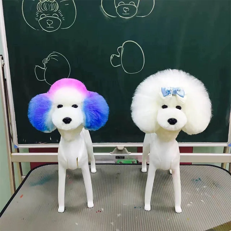Pet Groomer Practicing Dog Head Wig Teddy Head Model