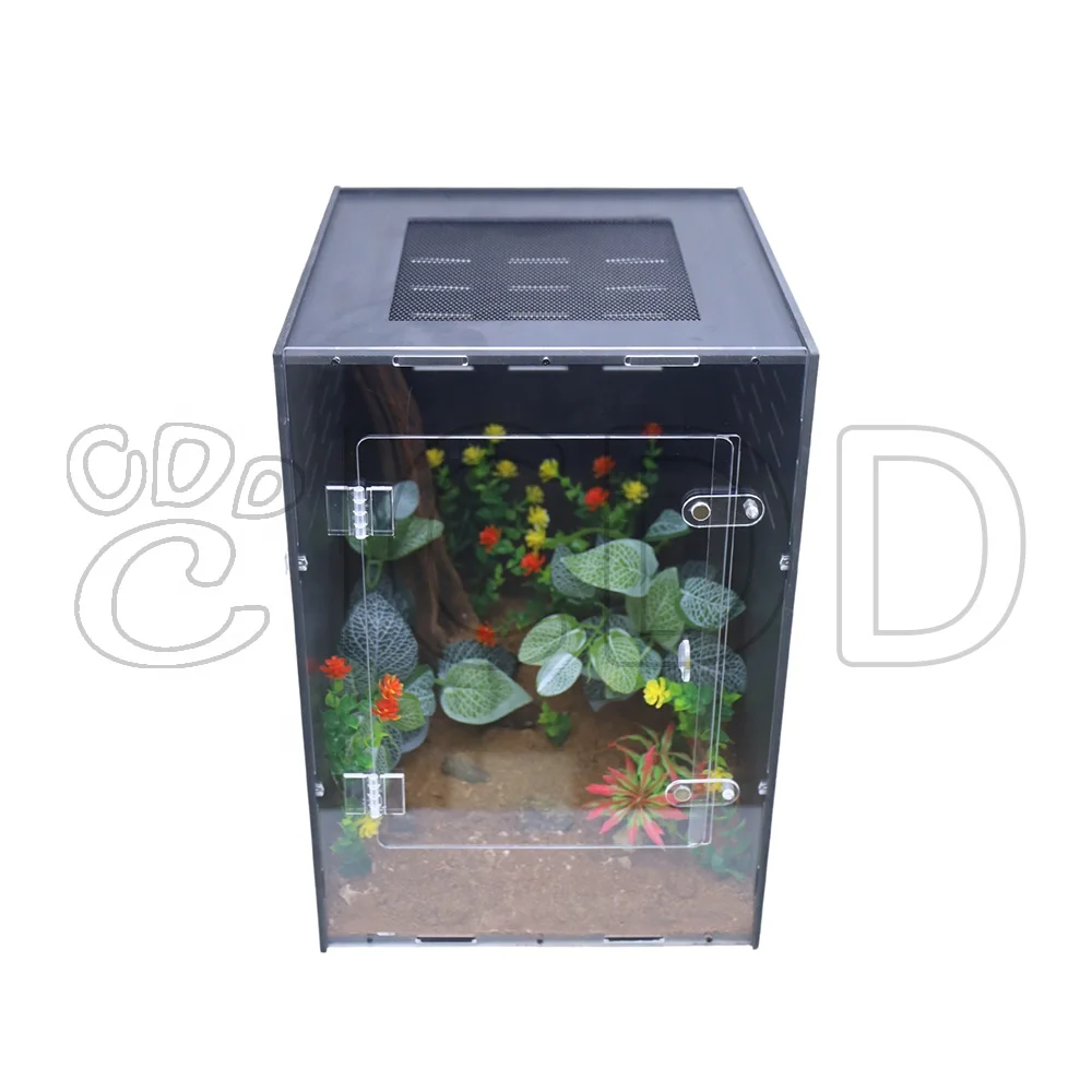 Customizedized Spider Scorpion Horn Frog Lizard Transparent Acrylic Feeding Box Crawling Pet Reptile Cage