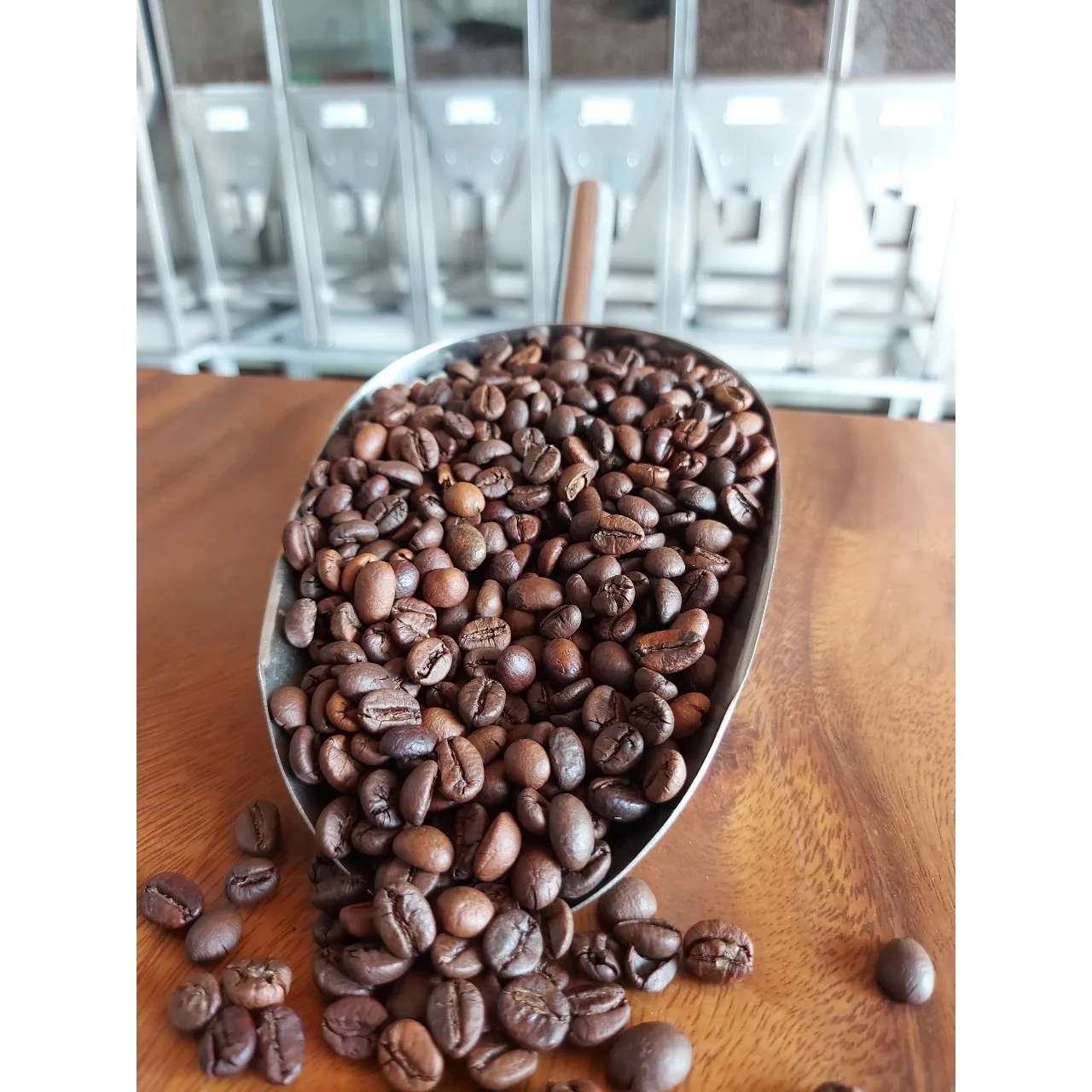 Vietnam Product Robusta S18 Roasted Carpentry Coffee Beans  Roasted Cafe  Robusta Roasted